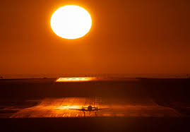 Nelvin Cepeda (@nelcepeda) · Instagram photos and videos