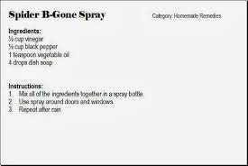 Diy Spider Repellent Fluster Buster Insect Spray Insect Repellent Homemade Insect Repellent