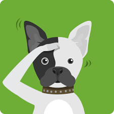 Image result for obedience