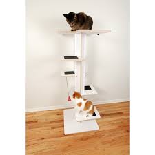 Modern Cat Tower 5 Tall Baobab Model Square Cat Habitat