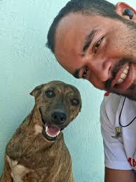 Perritos Callejeros en Cuba (grupo oficial)