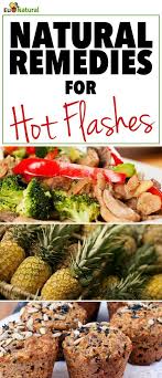The Top 26 Natural Remedies For Hot Flashes Hot Flash Remedies Hot Flushes Remedies Hot Flashes