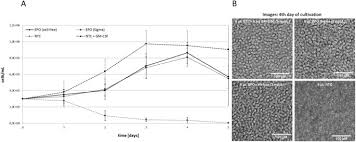 We did not find results for: Cell Free Protein Synthesis As A Novel Tool For Directed Glycoengineering Of Active Erythropoietin Scientific Reports