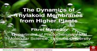 48 yaşındaki fikret engin'in 25 mayıs'ta şeker komasına girerek hastaneye kaldırıldığı ve gece saatlerinde hayatını. Photosystem Ii Engine Of Life Fikret Mamedov Pdf Document