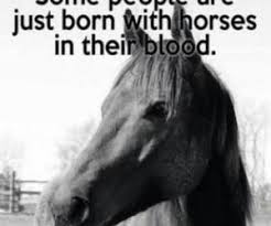 Barn Horse Quotes. QuotesGram via Relatably.com