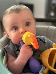 Michael David Libet (@chefclimbs) • Instagram photos and videos