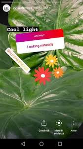 We did not find results for: Illuminating Gardens Light On Leaves Cool Or Warm White Or Coloured L L Luce Light