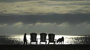 Department of health and human services (tests, hospitalizations). Tougher Covid 19 Restrictions Coming To Winnipeg As Manitoba Cases Climb Chat News Today