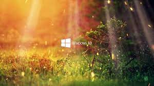 Download, share or upload your own one! Nature Windows 10 Fhd 1080p Wallpaper Engine Youtube