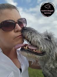 ✨ Detailed Dogs Grooming Parlour ✨ Enhance your fur babies lives by sending  them to doggy daycare and allowing them to run and play freely in a safe,  loving environment 🐾🫶🏼 Home