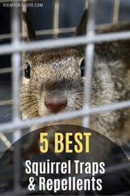 Allstate animal control technicians will provide effective solutions, services, and traps for your pest problems and to get rid of insect infestation. 18 Diy Pest Control Products Ideas Diy Pest Control Pest Control Pests