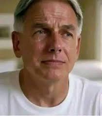 Expression of Admiration for Mark Harmon