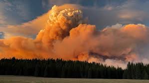 Image result for tbn:XVFRz-6Maj2JLM::www.jolmag.co.za/wildfire/images/Logos/vuvuzela_header.jpg