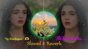 Ve Kamleya Bangla Translation Song