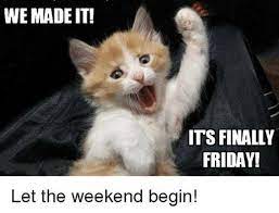 We did not find results for: 60 Funny Friday Memes Quotes For Hump Day Explorepic