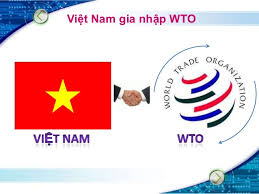 Kết quả hình ảnh cho Ngành du lịch Việt Nam sau 5 năm gia nhập WTO