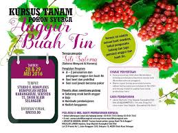 Borang permohonan hadiah pengajian ipt kerajaan negeri selangor. Laman Impiana Mudahnya Tanam Anggur Di Malaysia Tak Facebook