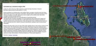 Image result for Lasiodiscus pervillei