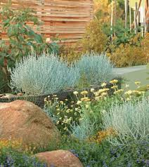 Australian Coastal Garden Design Jajlindulu