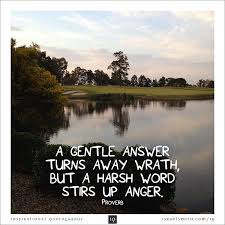 We did not find results for: A Gentle Answer