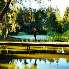 We did not find results for: Yoga I Gans Am Wasser In Munchen Am 12 06 2021 Cafe Gans Am Wasser Munichmag