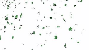 Ebay.de has been visited by 100k+ users in the past month Best Leaves Falling Gifs Gfycat