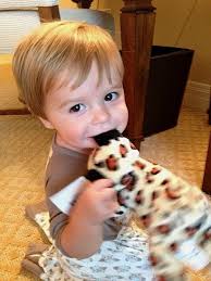 Montage Beverly Hills