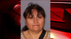 Amsterdam woman accused of welfare fraud