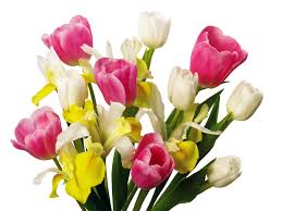 Image result for ‫یک دسته گل زیبا‬‎