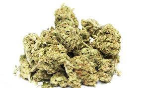 Can Marijuana Help Speed Up My Metabolism Massachusetts Medical Marijuana Doctors Inhale Md