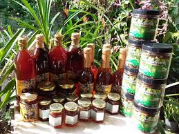 Ternak dan cara budidaya lebah madu liar apis cerana hutan dan trigona sp klanceng kelulut di jawa tengah khasiat dan manfaat madu jual madu. Berhenti Jadi Guru Kerana Madu Ashari Usahakan Madu Kelulut Kitareporters Semua Boleh Jadi Reporter