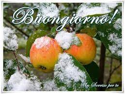 La cucina invernale di matteo fronduti ». Buongiorno Invernale 10 Link Da Condividere Gratis Top10immagini It