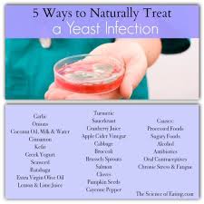 Using Foods To Heal Foods That Treat Yeast Infection Yeastinfection Treat Yeast Infection Yeast Infection Yeast Infection Cure