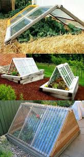 With these mini greenhouse ideas, nothing will stop you from growing everything you want during unfavorable conditions. 42 Best Diy Greenhouses With Great Tutorials And Plans A Piece Of Rainbow
