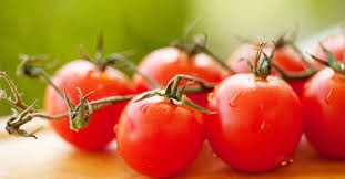 Maybe you would like to learn more about one of these? How To Plant Grow And Harvest Tomatoes