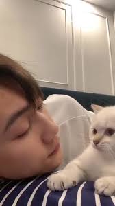 A Heartfelt Tribute to Pets at the Rainbow Bridge