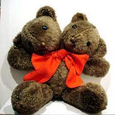 Pin By Michael Paine On Fran Bow Teddy Bear Bear Toy Teddy