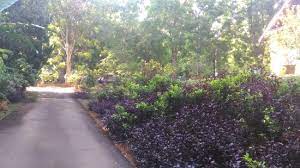 On tour we will take you to of most important attractions of melaka botanical garden, muzium orang asli (museum. Melaka Botanikal Garden Ayer Keroh 2021 All You Need To Know Before You Go With Photos Ayer Keroh Malaysia Tripadvisor