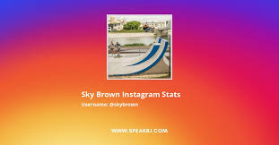 Sky tonia ferreira (born july 8, 1992) is an american singer, songwriter, model, and actress. Sky Brown Instagram Followers Statistics Analytics Speakrj Stats