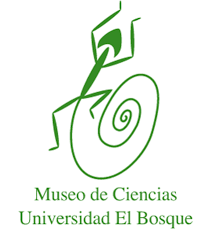 El bosque university (ueb) is located in bogotá, bogota distrito capital, colombia. Museo De Ciencias De La Universidad El Bosque