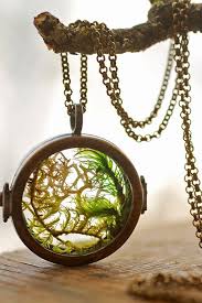 Real Moss Necklace Floating Locket Living Locket Mini Terrarium Jewellery Glass Terrarium Pendant Necklace Woodland B12 Nature Jewelry Moss Necklace Jewelry