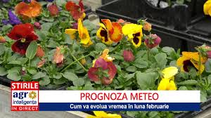 Cea mai scurtă lună din anul 2019 (luna. Cum Va Fi Vremea In Luna Februarie Youtube