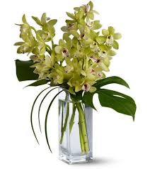 Established in 1926 by william henderson, hendersons flowers is now in it's third generation of hendersons. Teleflora S Orchid Elegance In Arlington Ma Cody Floral Designs Orchid Flower Arrangements Orchids Flower Delivery