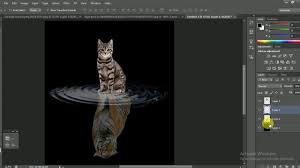 Ontdek de perfecte stockfoto's over tiger shadow en redactionele nieuwsbeelden van getty images kies uit premium tiger shadow van de hoogste kwaliteit. How To Create Cat And Tiger Reflection Easily In Photoshop 2019 Youtube