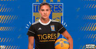 Stories exitosas, mextigbar, fut gol fem, tigres oficialmúsica: Faltan Extranjeras En La Liga Mx Femenil Nayeli Rangel