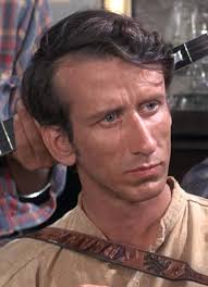 The Andy Griffith Show" The Darling Fortune (TV Episode 1966)