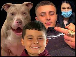 Sentencing for "Carefully" pit bull attack death marks start of U.K. dog  law debate