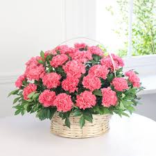 Browse a wide range of flowers and order bouquet online whether you want to send a bouquet of flowers or any unique arrangement of blossoms, you name it, and we have it. Send Flowers To Mumbai Flower Delivery Mumbai In 3 Hours Igp Florist Flower Bouquet Delivery Flower Delivery Online Flower Shop