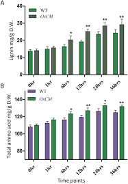 That's why arrow pest control has developed flexible residential pest control programs. Overexpression Of Oscm Alleviates Blb Stress Via Phytohormonal Accumulation And Transcriptional Modulation Of Defense Related Genes In Oryza Sativa Scientific Reports