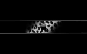 Versatile mac os x screensaver that offers you the possibility to view various websites in order t. 45 Free Mac Wallpaper And Screensavers On Wallpapersafari